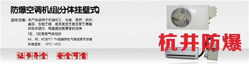 10p航空航天高效防爆空调图片