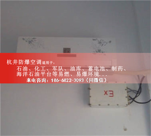 电镀厂防爆空调机案例图