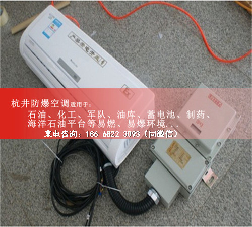 机房带远程控制防爆空调机案例图
