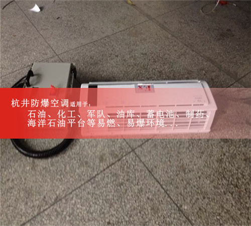 防爆冷库空调案例图
